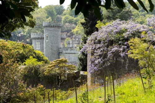 Caerhays - Castle, Gardens & Beachtime Fun